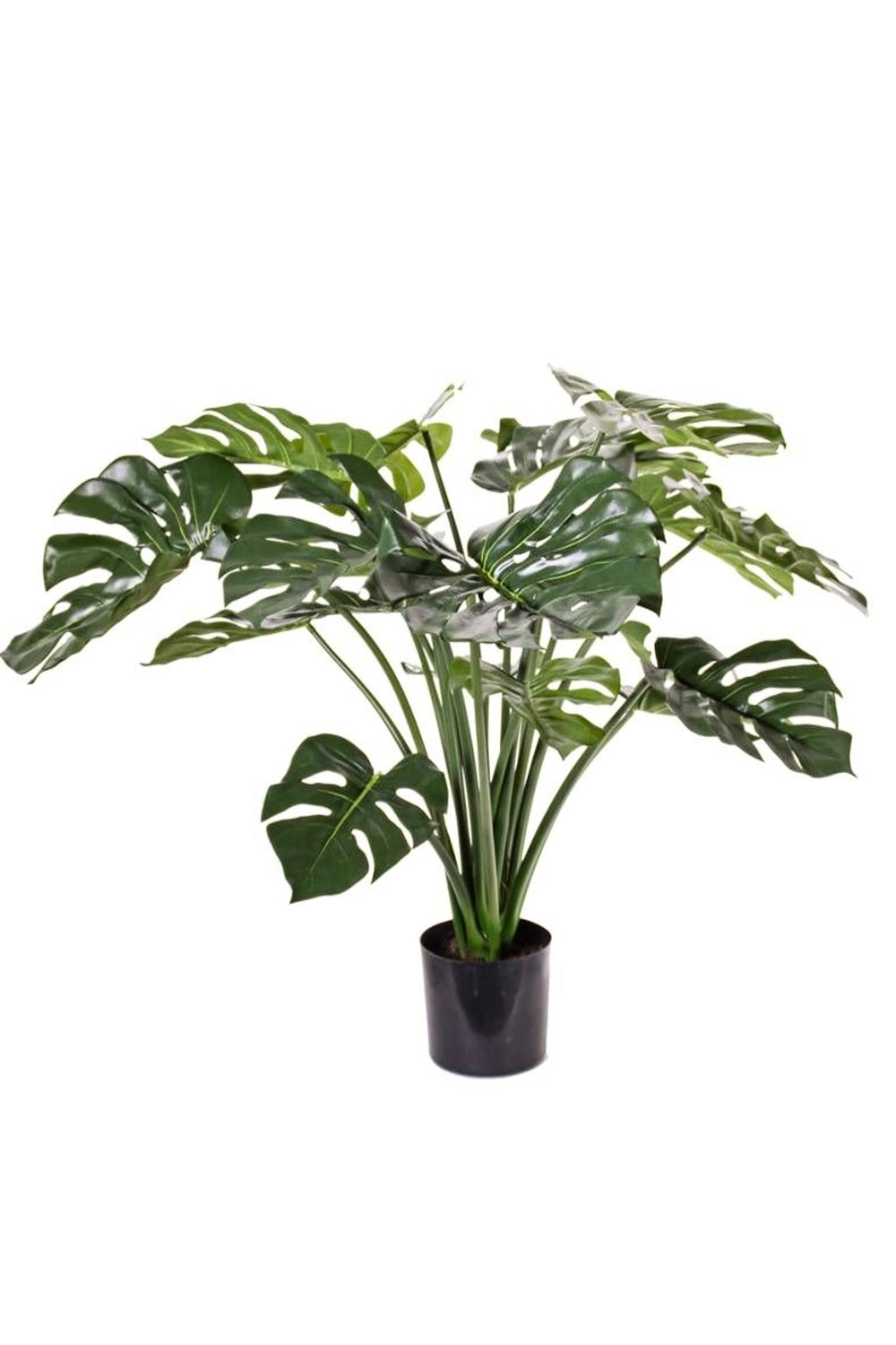 Monstera Kunstplant 80cm