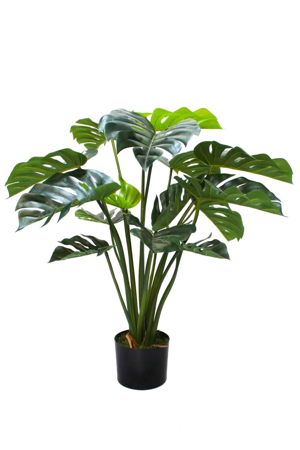 Monstera Kunstplant 80cm