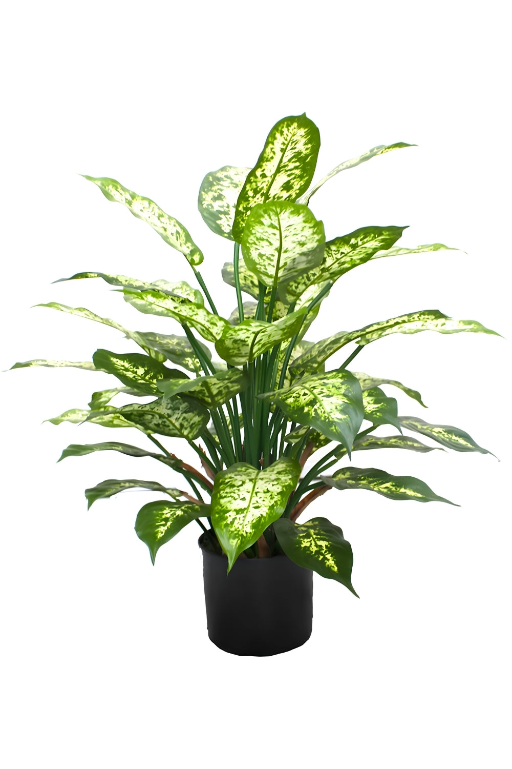 Dieffenbachia Kunstplant 70cm