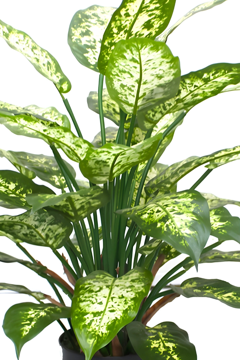 Dieffenbachia Kunstplant 70cm
