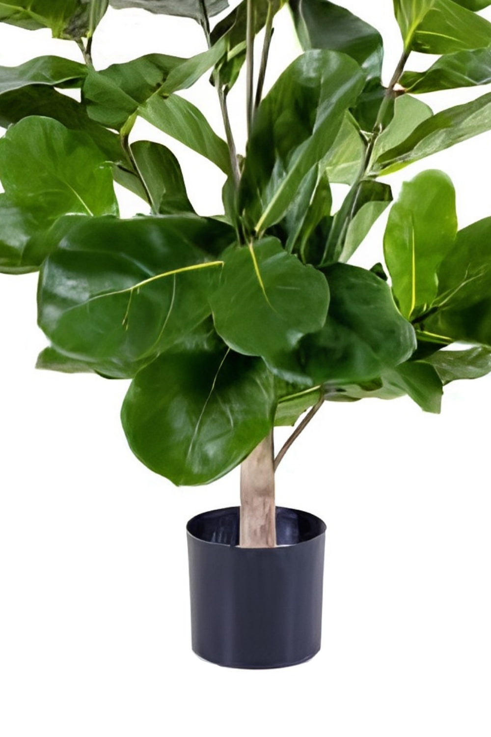 Ficus Kunstplant 90cm