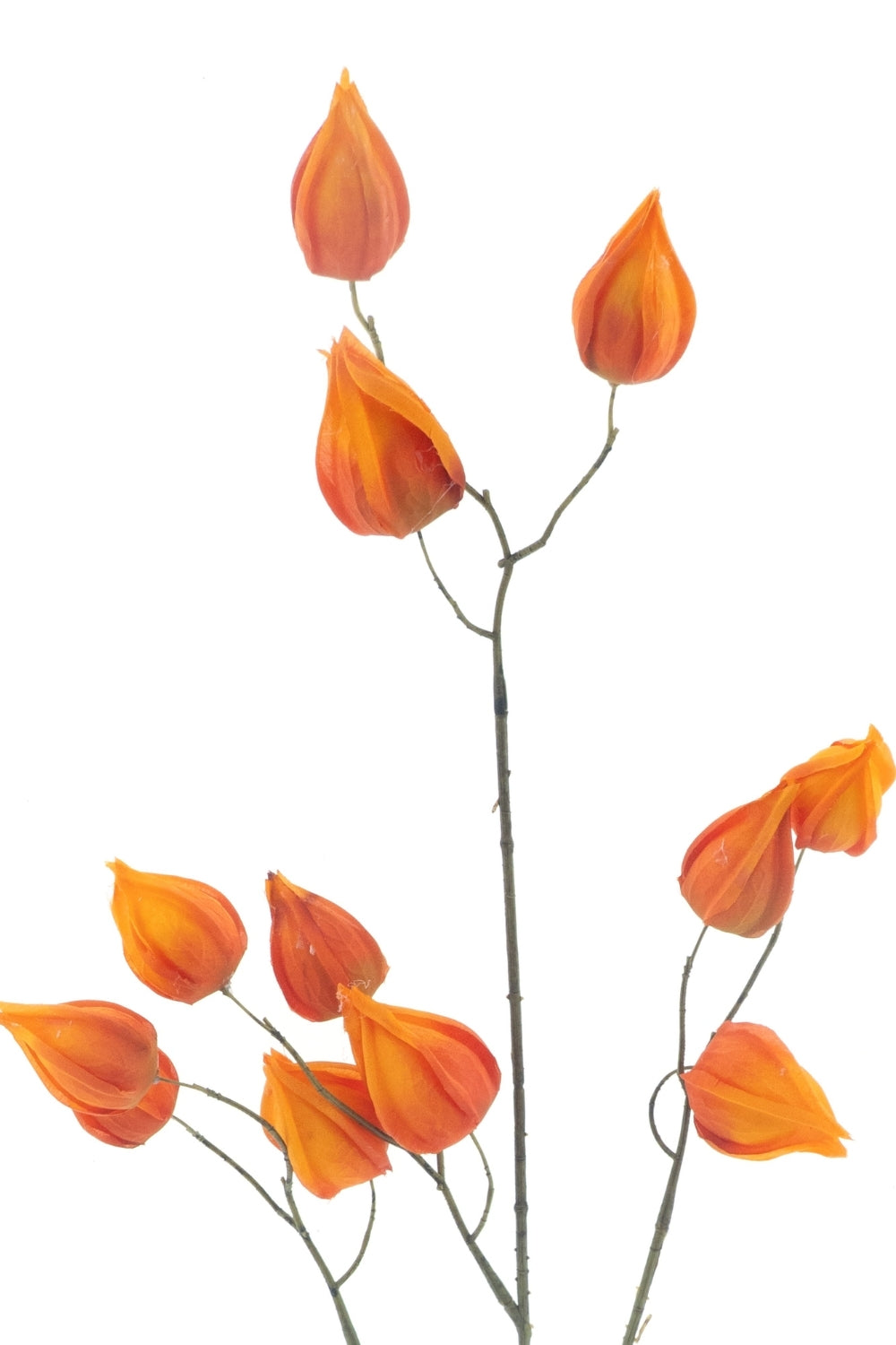 Physalis Kunstbloem Oranje 83cm