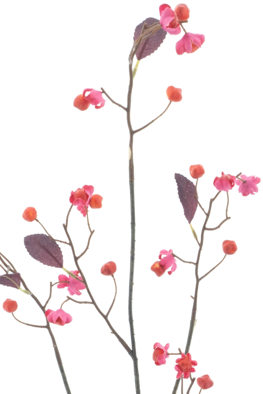 Bittersweet Kunsttak 90cm Roze Oranje