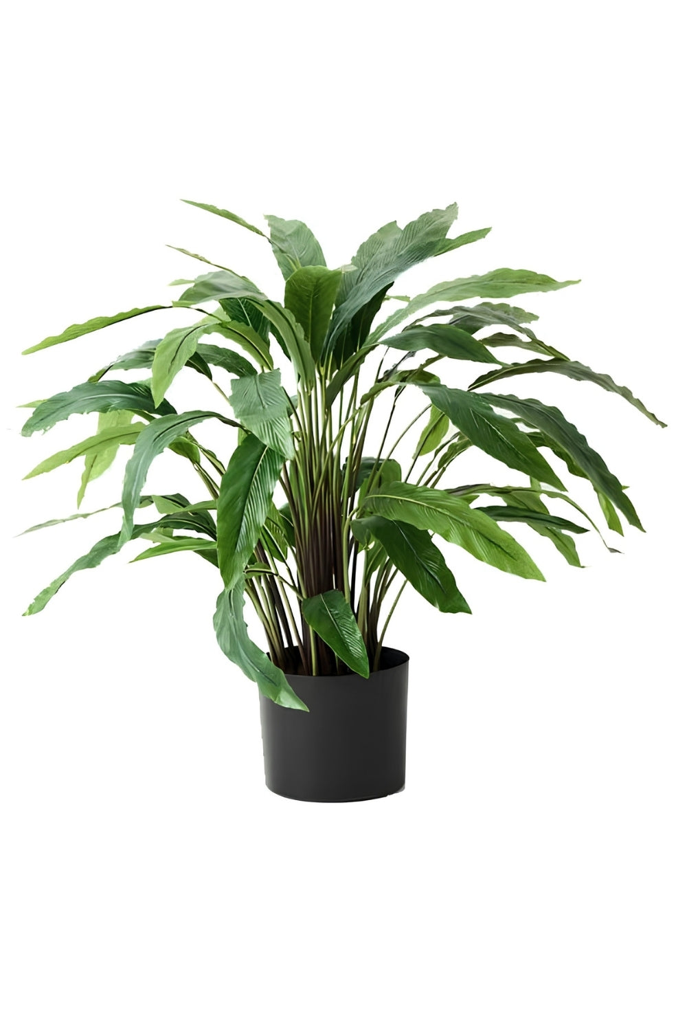 Calathea Kunstplant 60cm