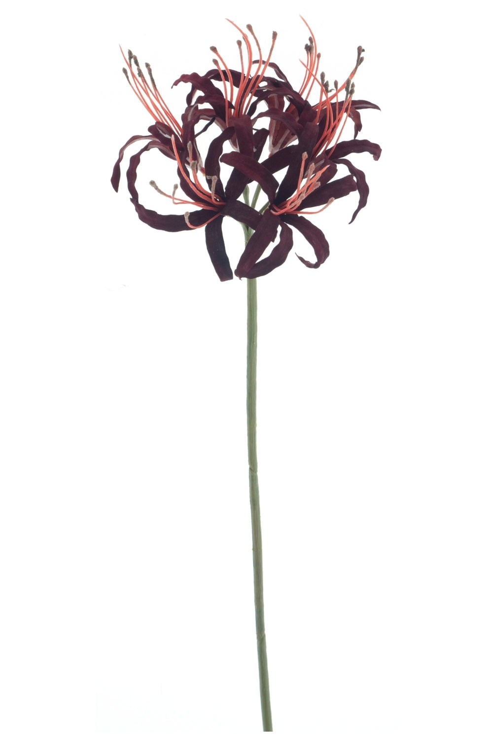 Nerine Kunstbloem Burgundy 79cm