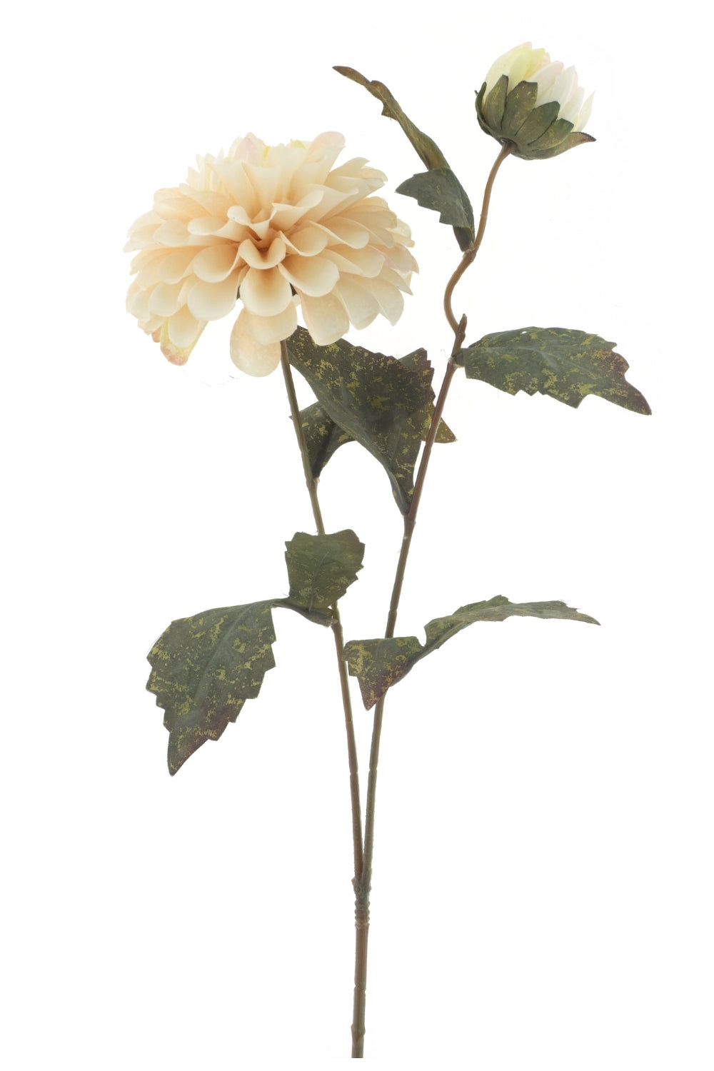 Zinnia Kunstbloem 66cm creme