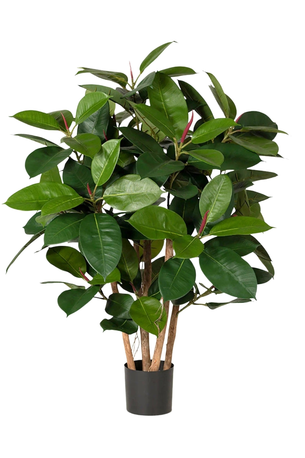 Ficus Elastica Kunstplant 90cm