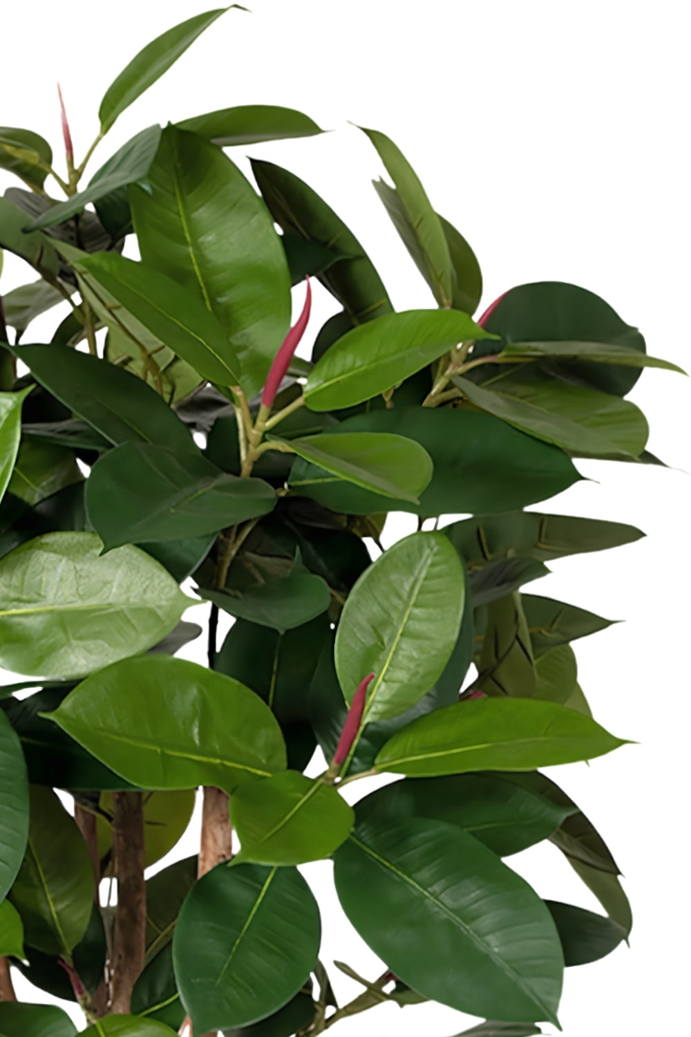Ficus Elastica Kunstplant 90cm
