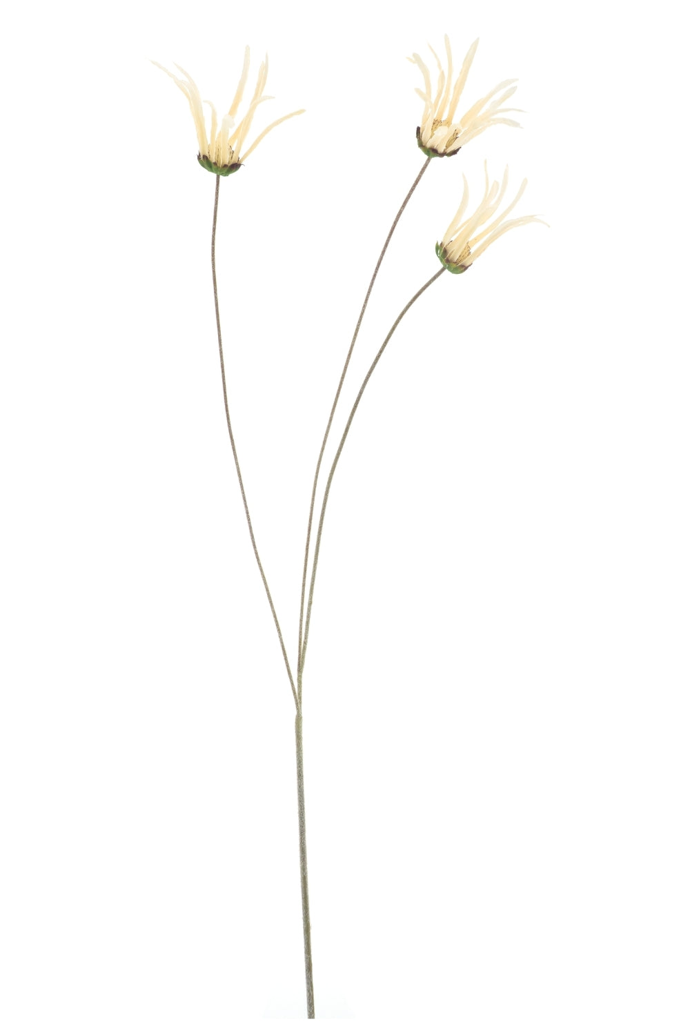 Echinacae Kunstbloem creme 105cm