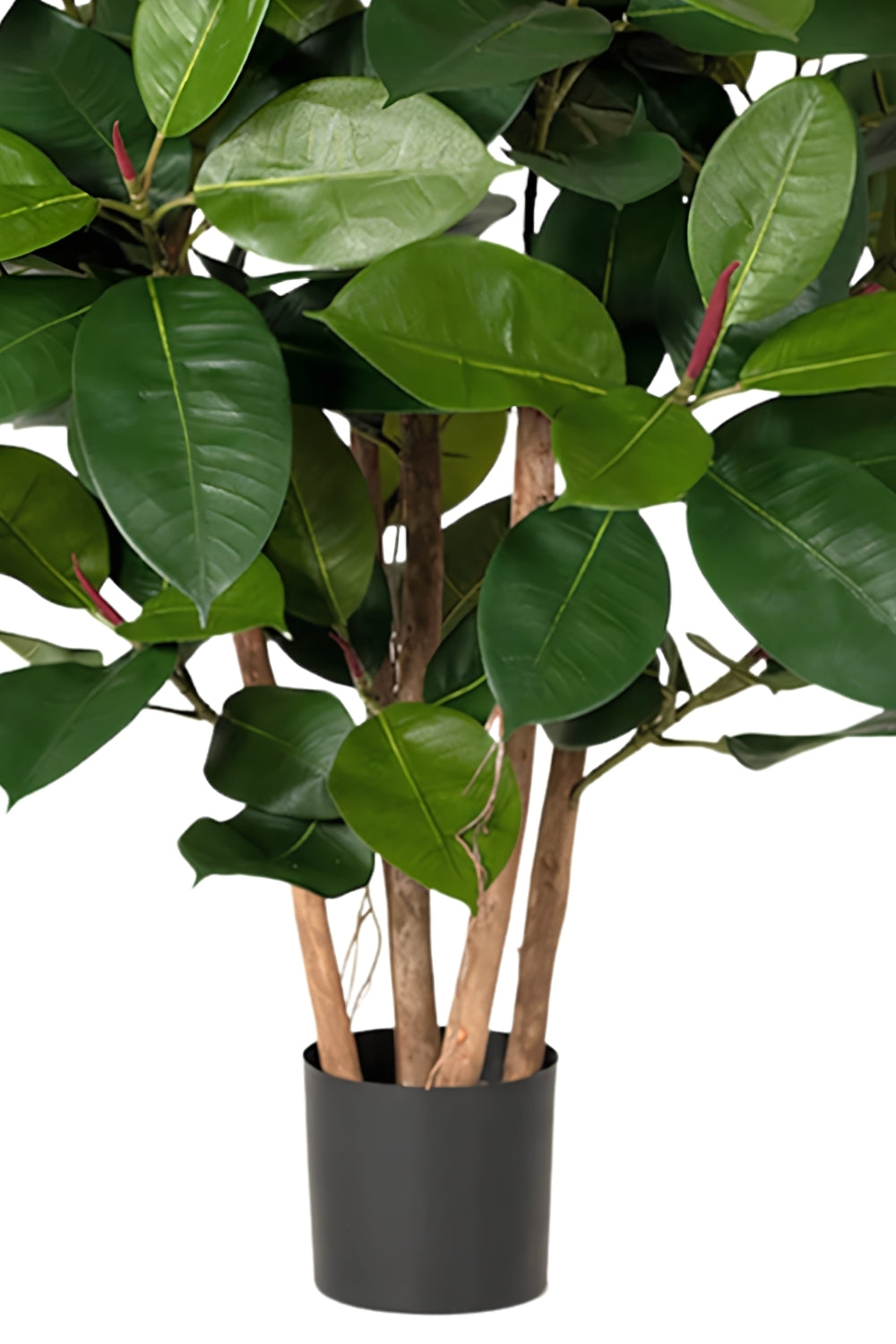 Ficus Elastica Kunstplant 90cm