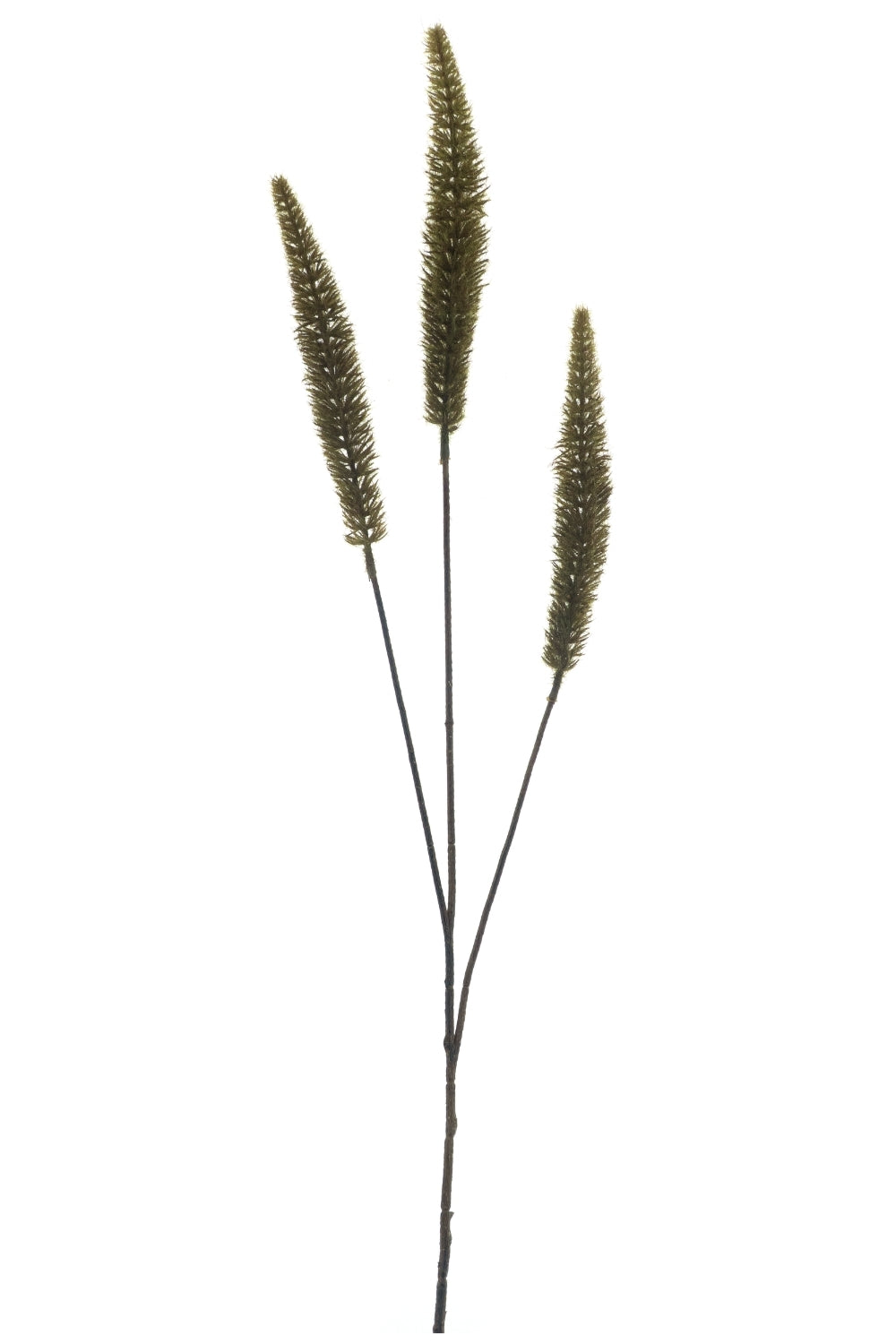 Staartgras Kunsttak Groen 88cm