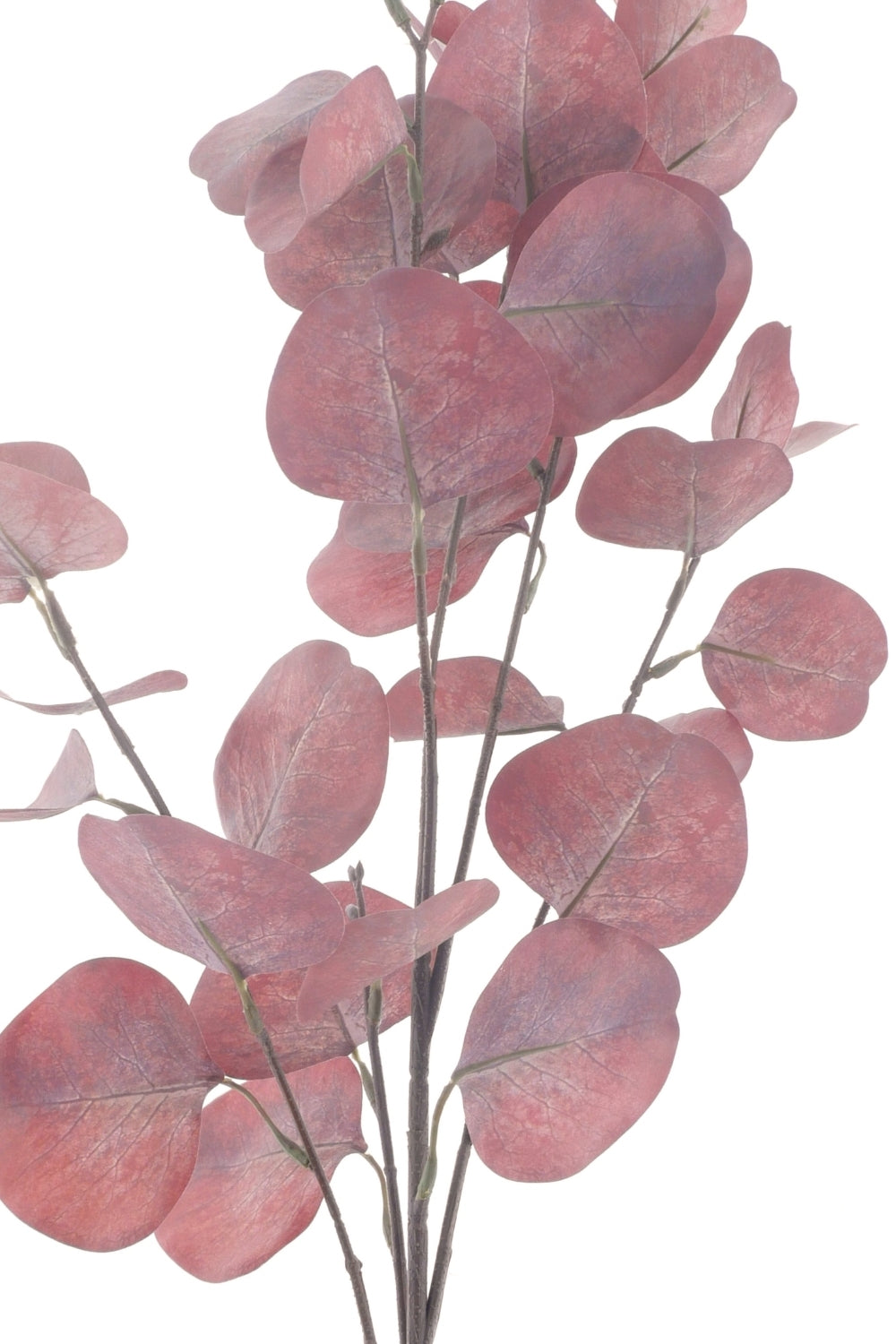 Eucalyptus kunsttak Rood 90cm