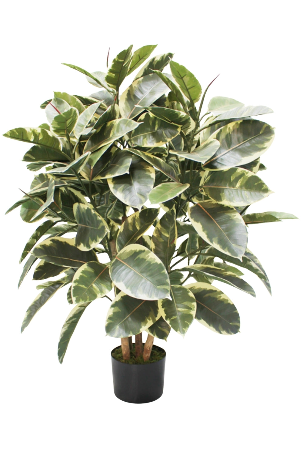Ficus Elastica Kunstplant 90cm