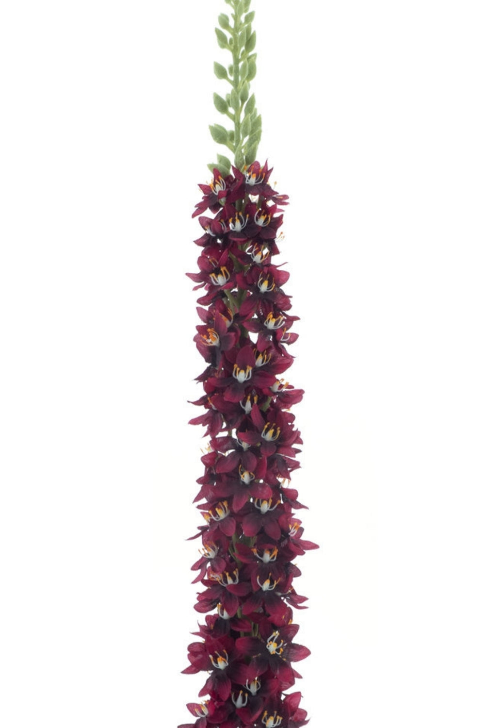 Eremurus Kunstbloem Rood 105cm
