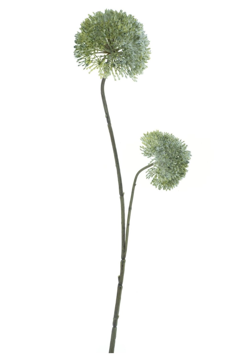 Allium Kunstbloem 76 Groen