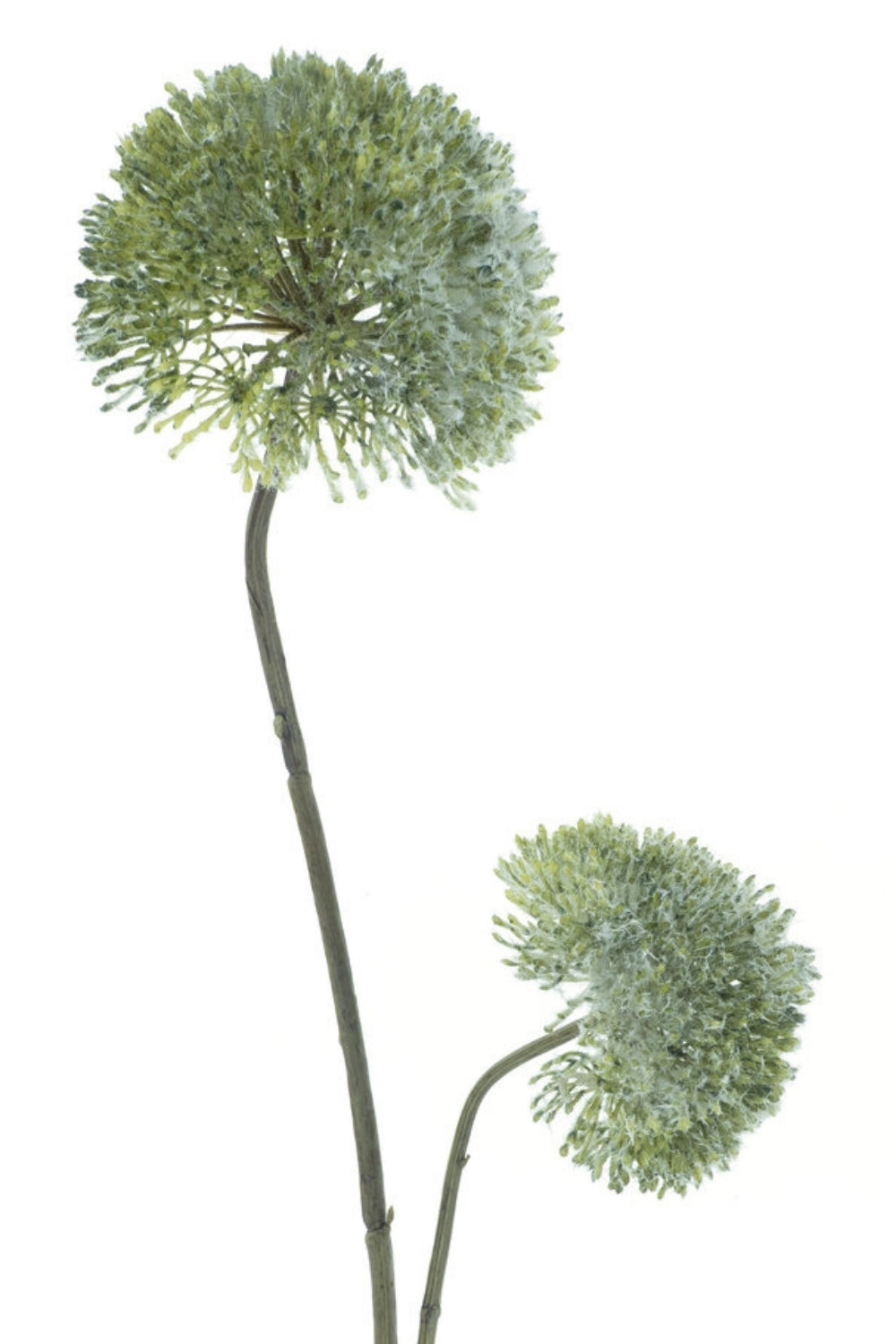 Allium Kunstbloem 76 Groen