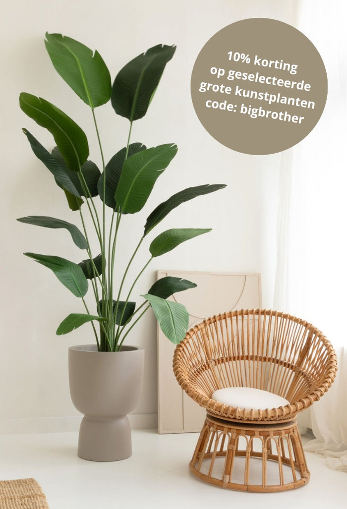 kunstplanten kopen bij prettyplants kunstplanten