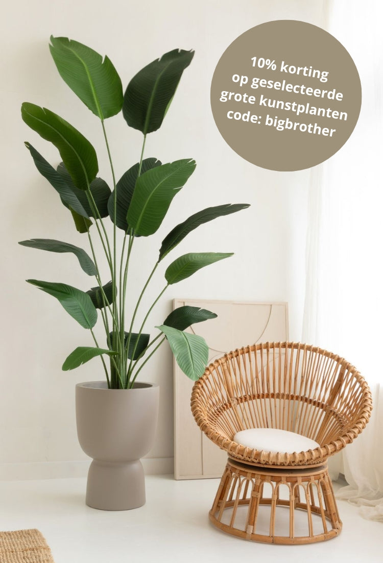 kunstplanten kopen bij prettyplants kunstplanten