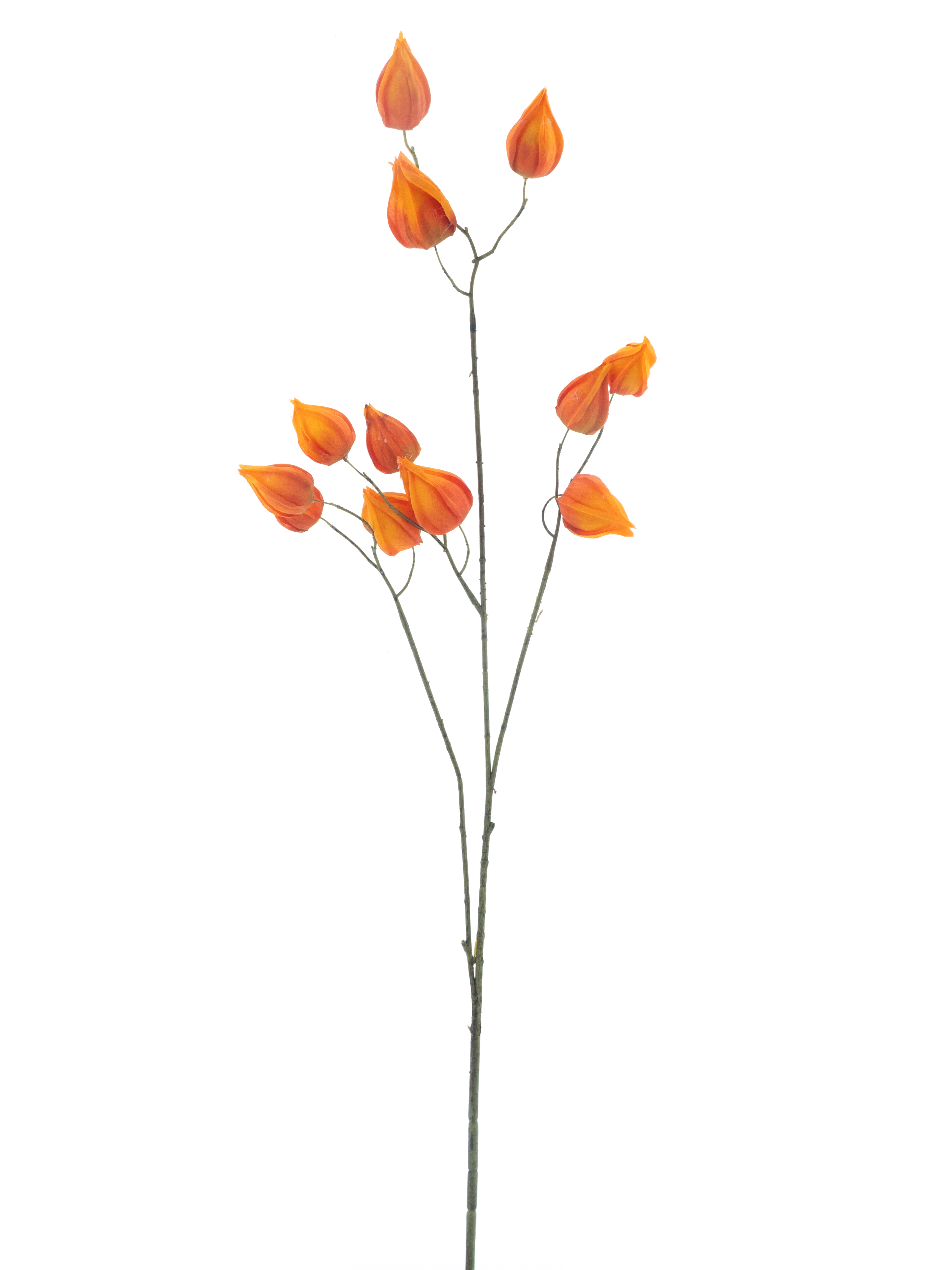 Physalis Kunstbloem Oranje 83cm
