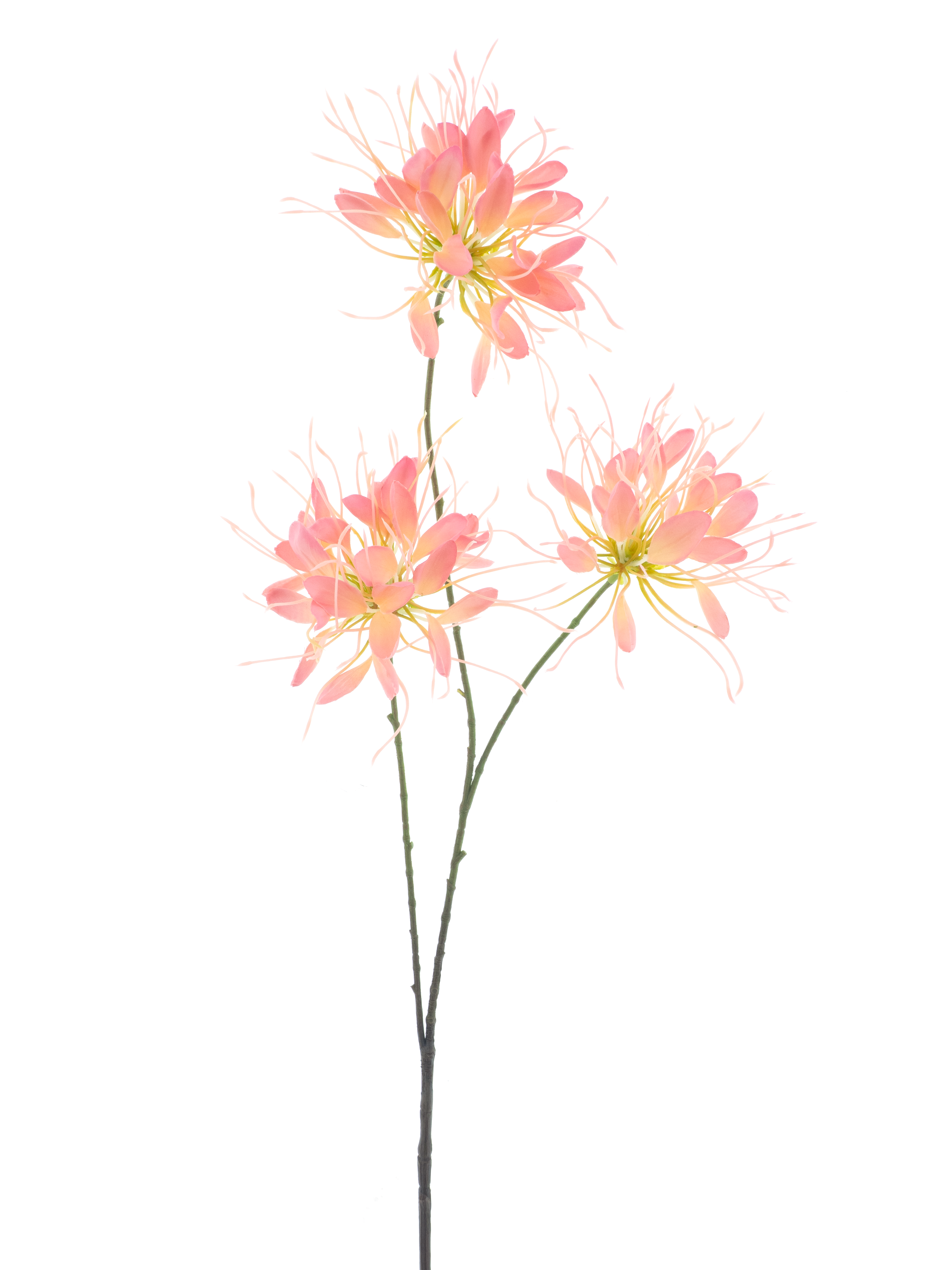 Spider Kunstbloem Perzik 94cm