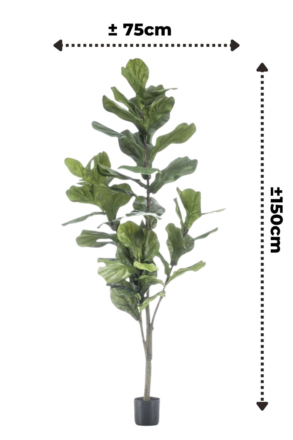 Ficus Lyrata Kunstplant 150cm