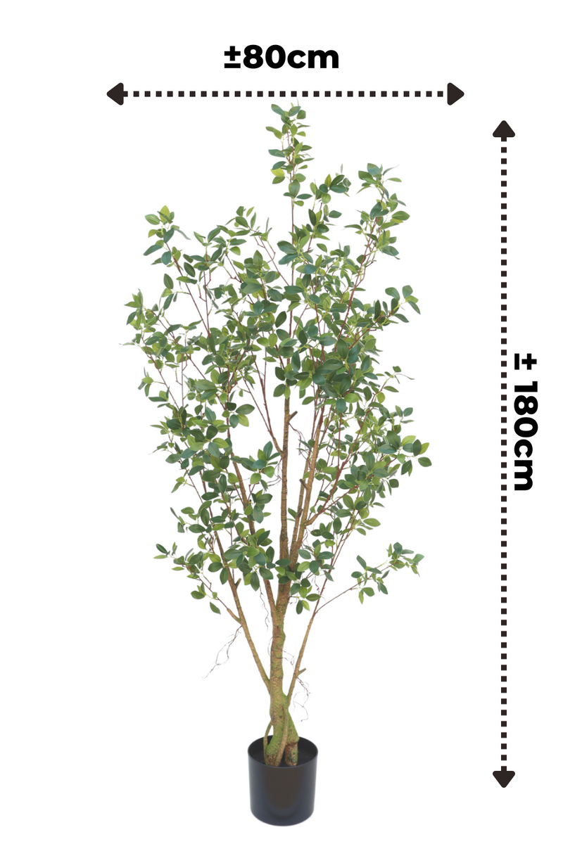 Afmetingen Ficus kunstplant 180cm