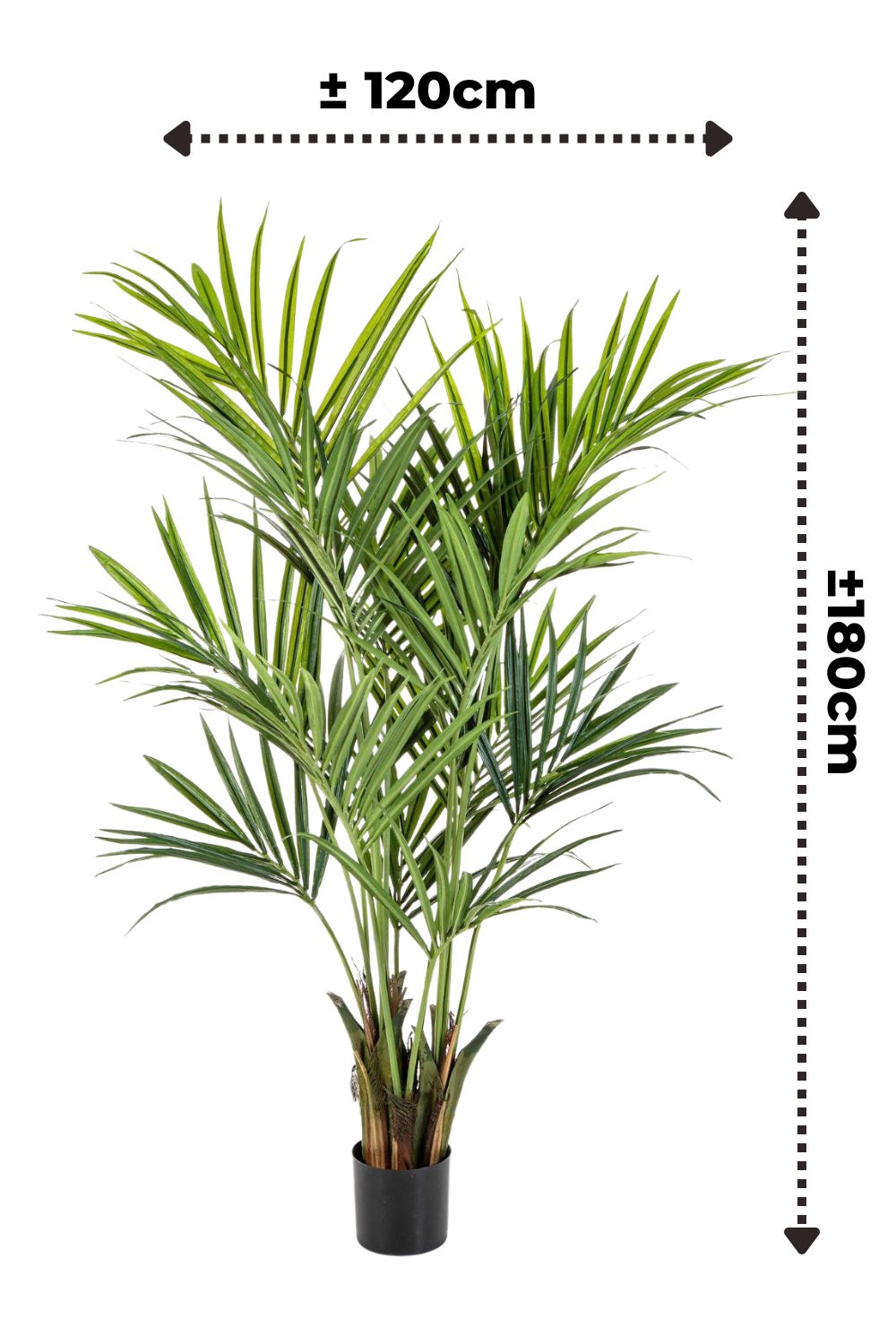 afmetingen kentia kunstpalm 180cm 