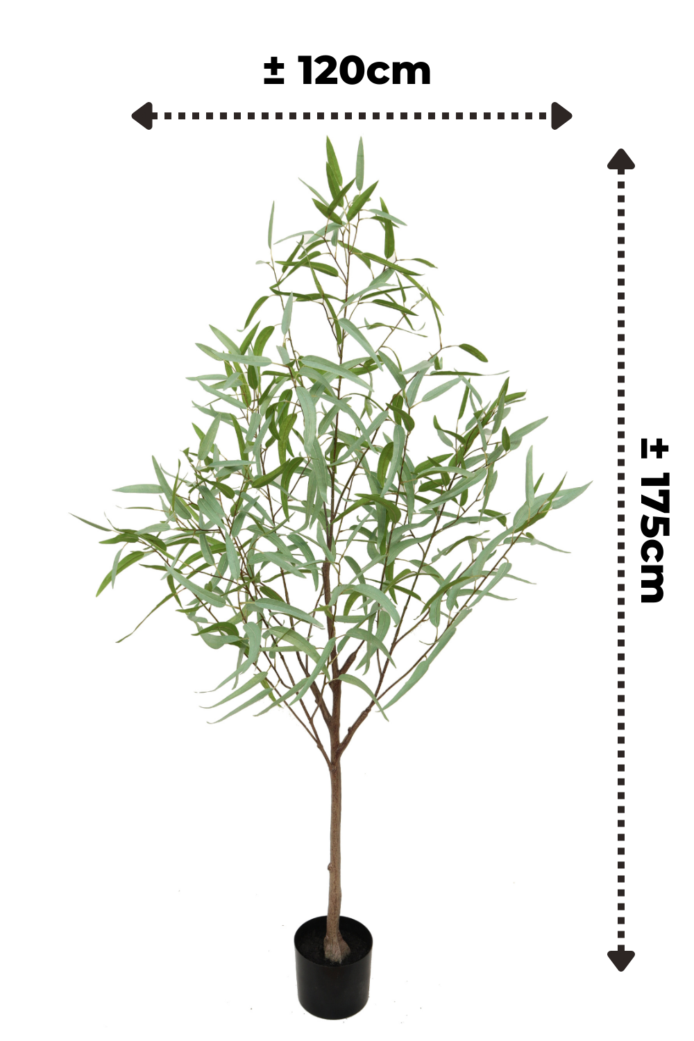 Eucalyptus kunstplant 175cm afmetingen PrettyPlants
