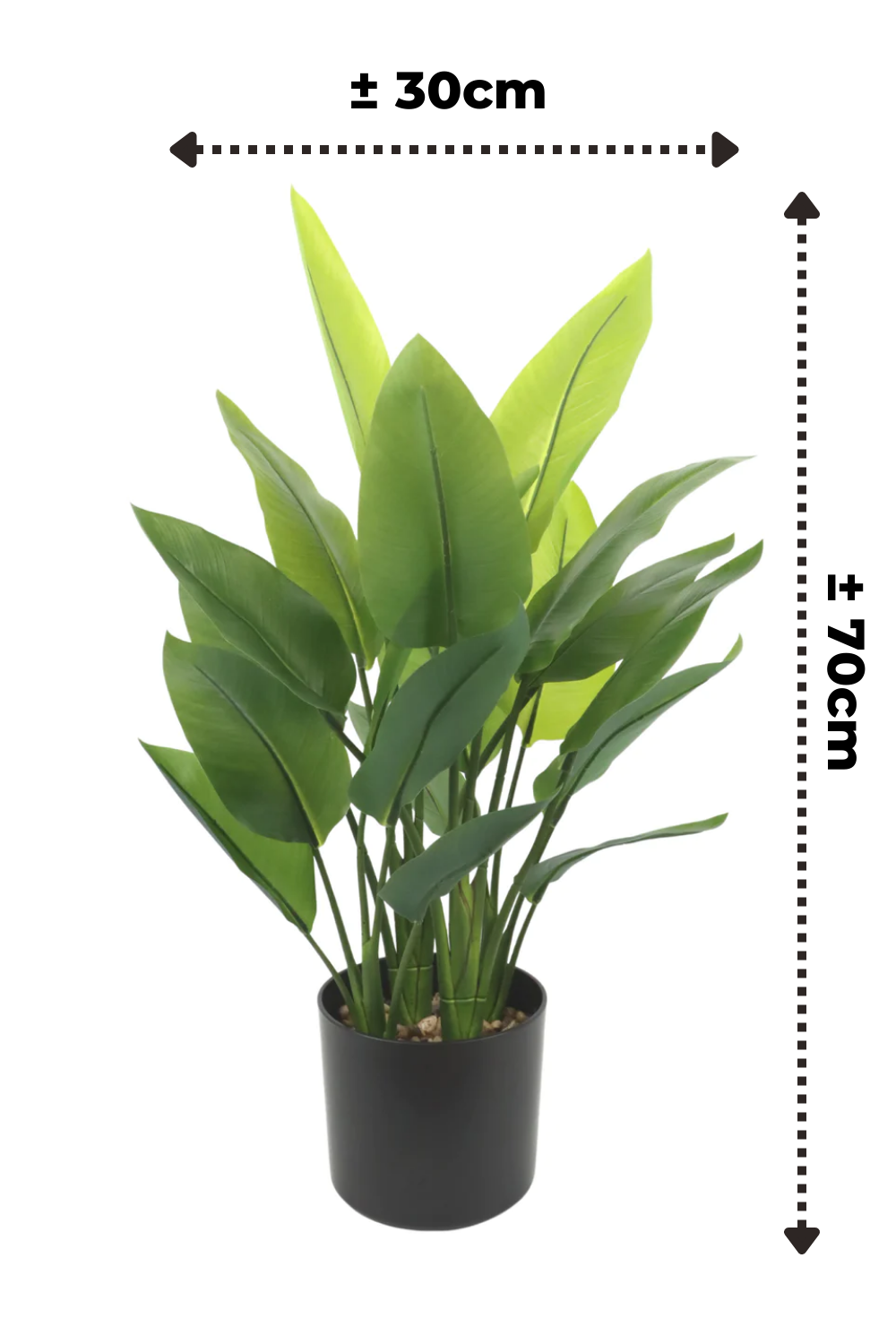 afmetingen Streltizia kunstplant 70cm