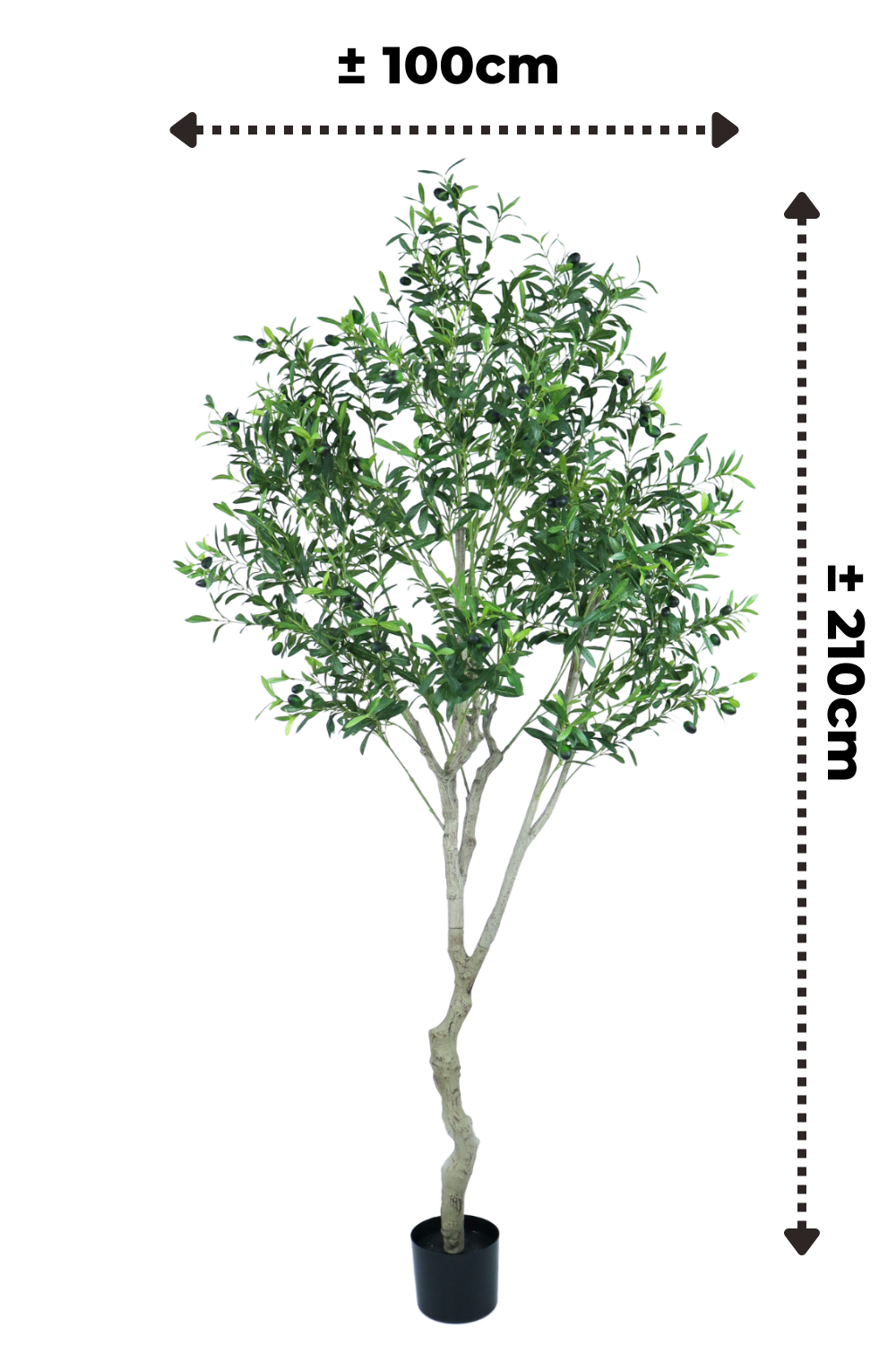 afmetingen kunst olijfboom 210cm