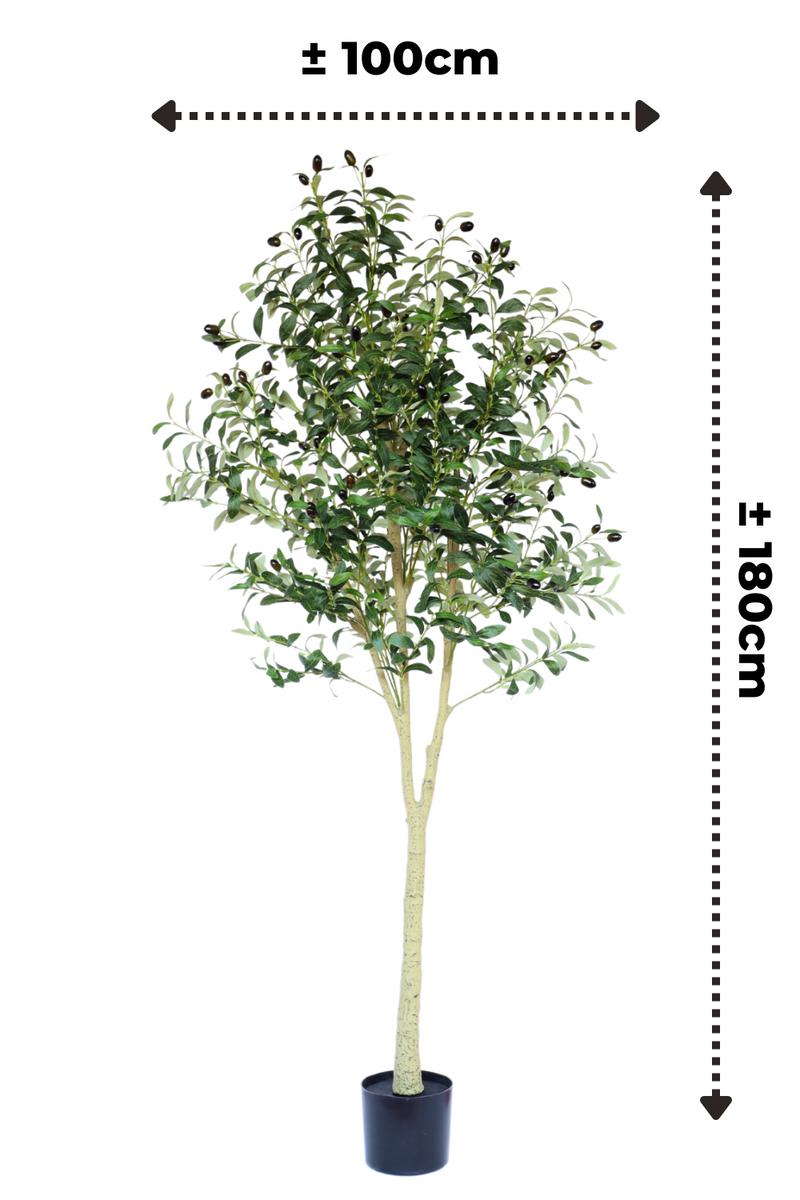 afmetingen kunst olijfboom 180cm