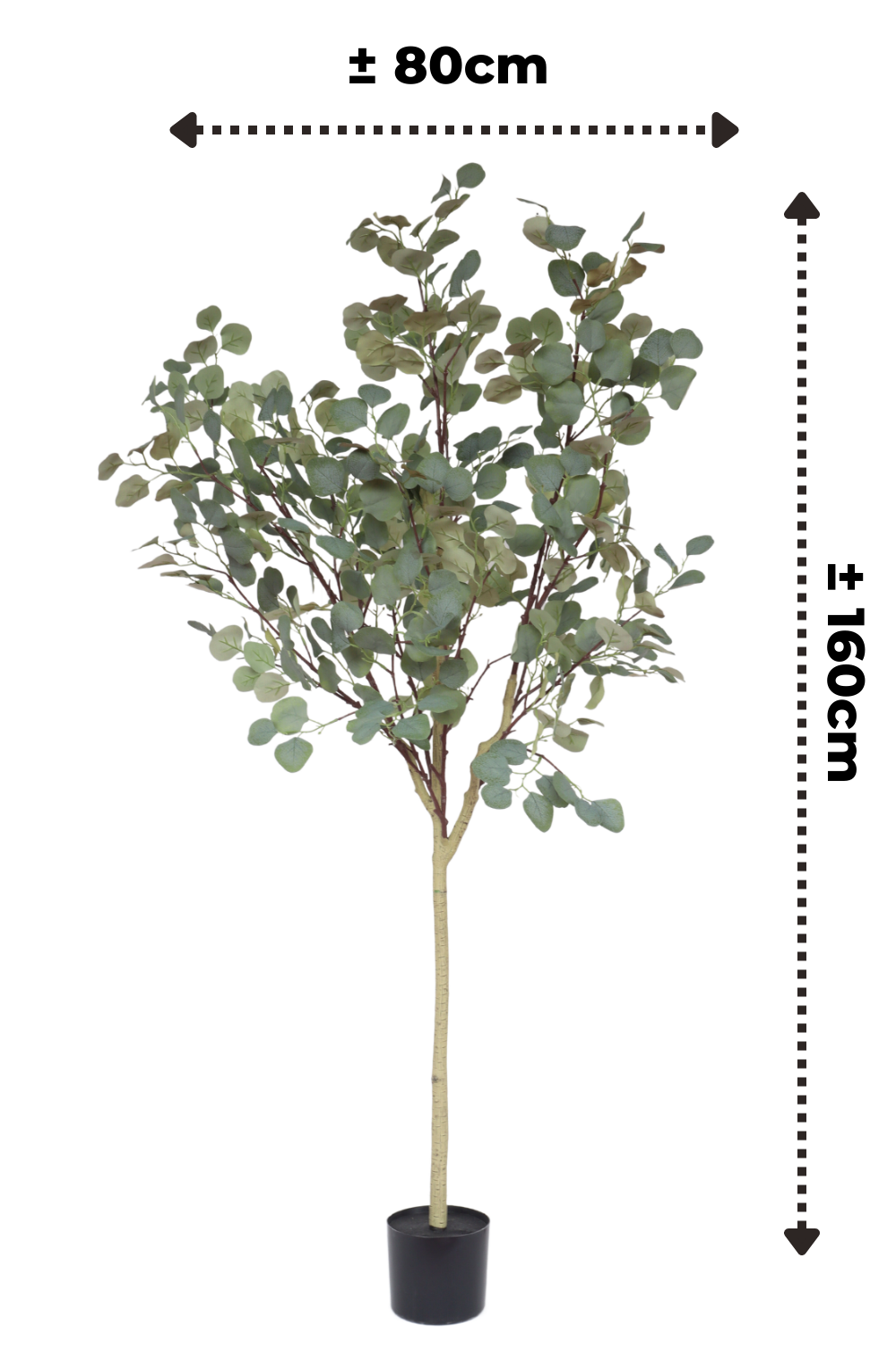 Pre-Order Eucalyptus Kunstboom 160cm
