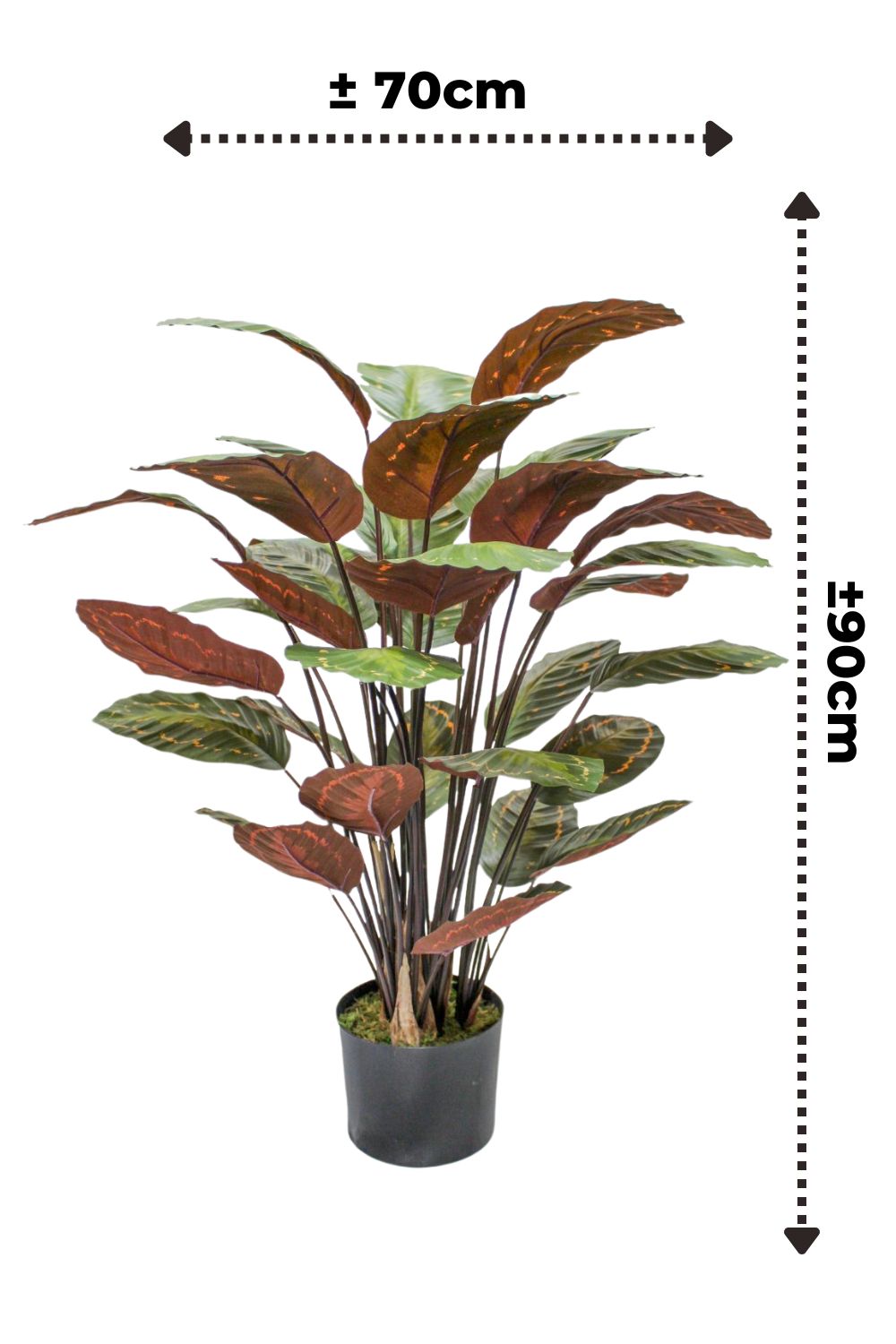afmetingen calathea kunstplant 90cm
