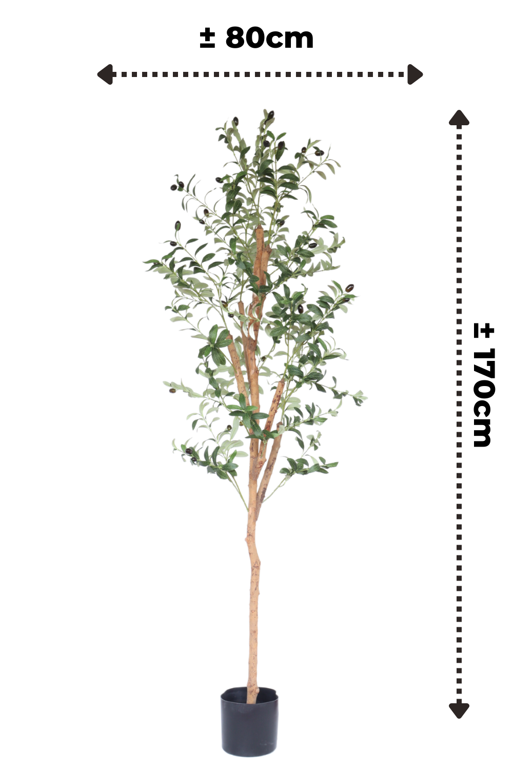 afmetingen kunst olijfboom 170cm