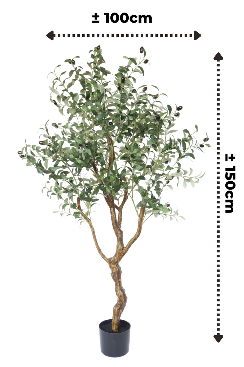 afmetingen kunst olijfboom 150cm