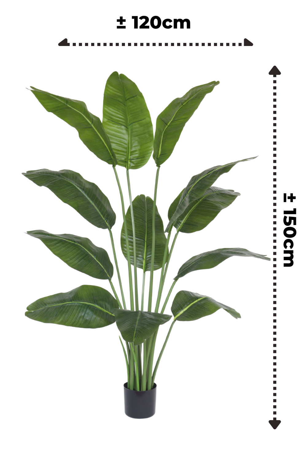 afmetingen kunst bananenplant 150cm