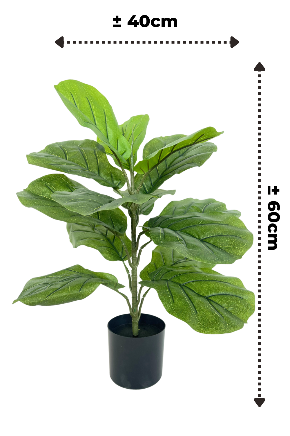 afmetingen ficus kunstplant 60cm