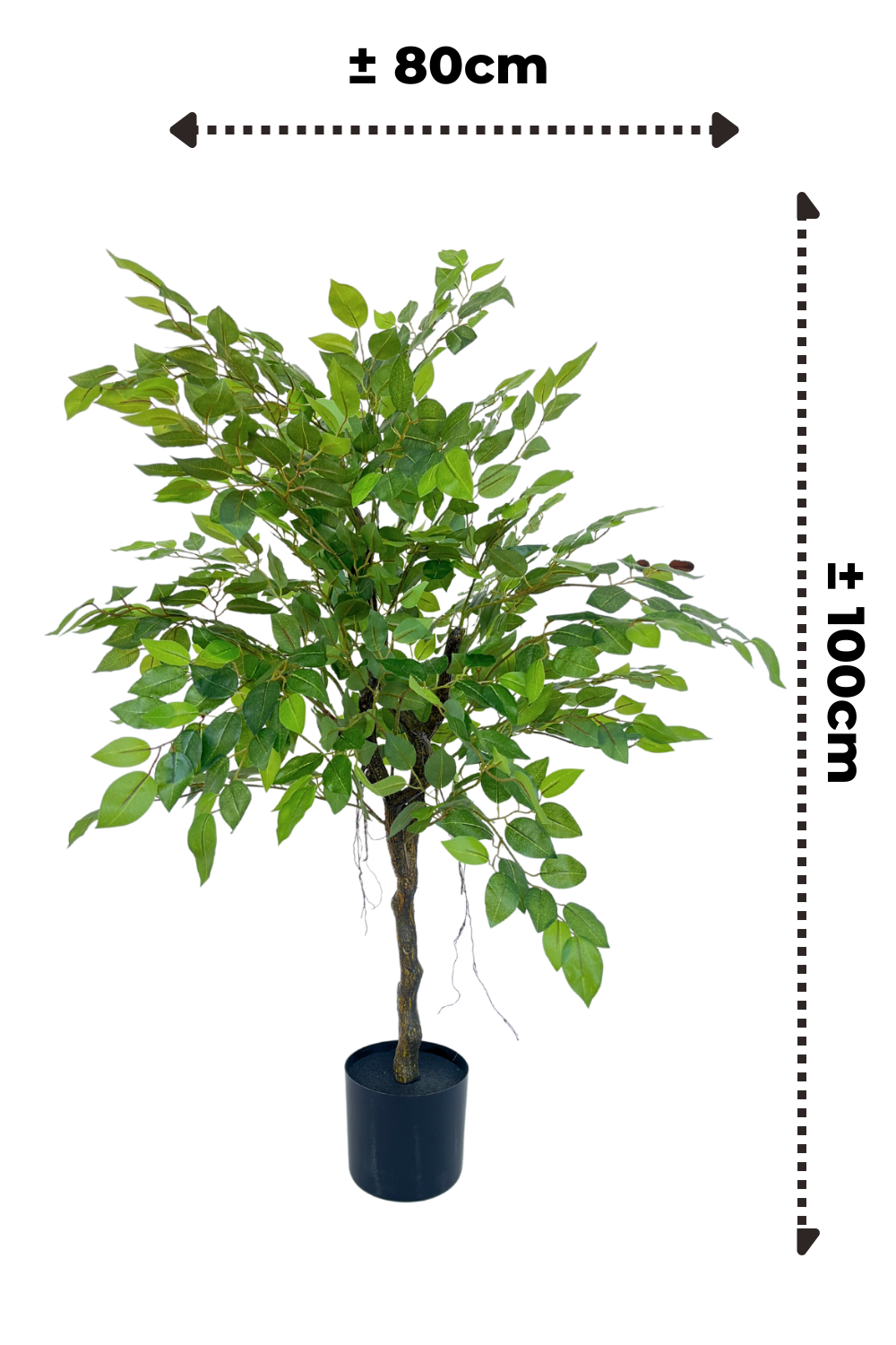 afmetingen Ficus kunstplant 100cm
