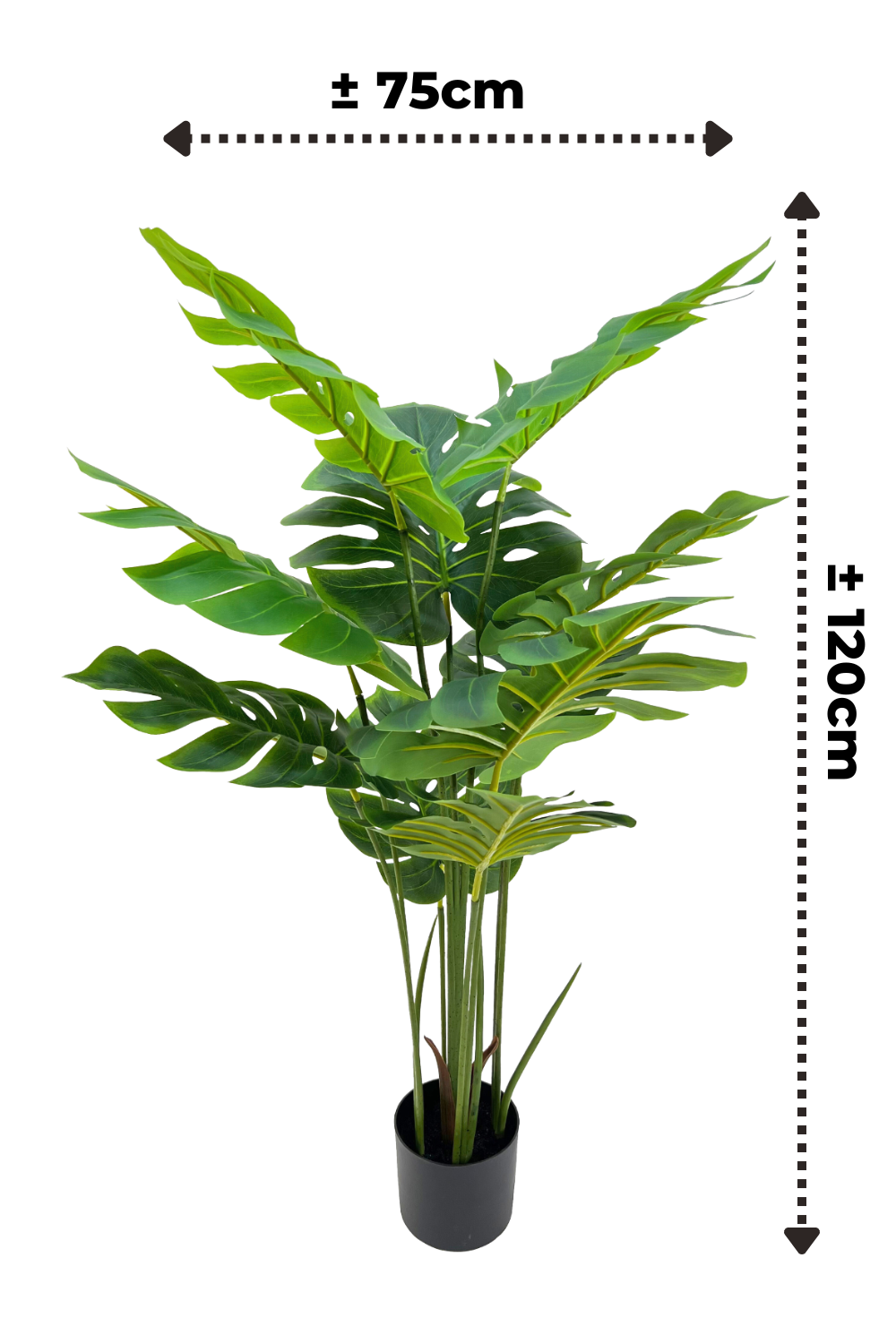 afmetingen monstera kunstplant 120cm