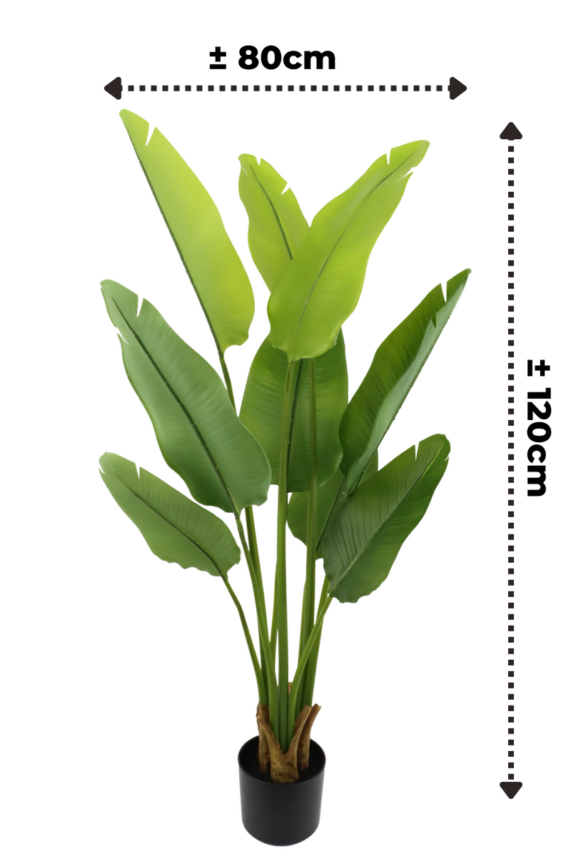 afmetingen strelitzia kunstplant 120cm