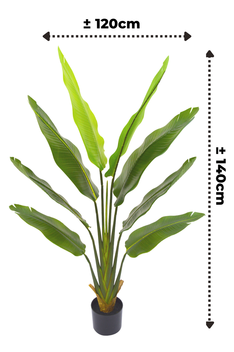 afmetingen strelitzia kunstplant 140cm