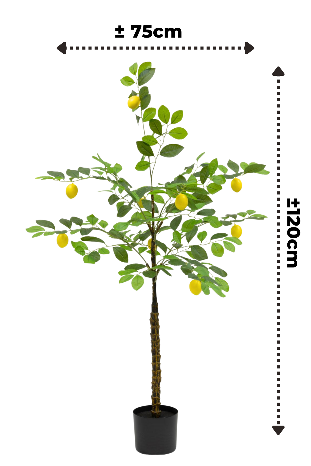 afmetingen kunst citroenboom 120cm