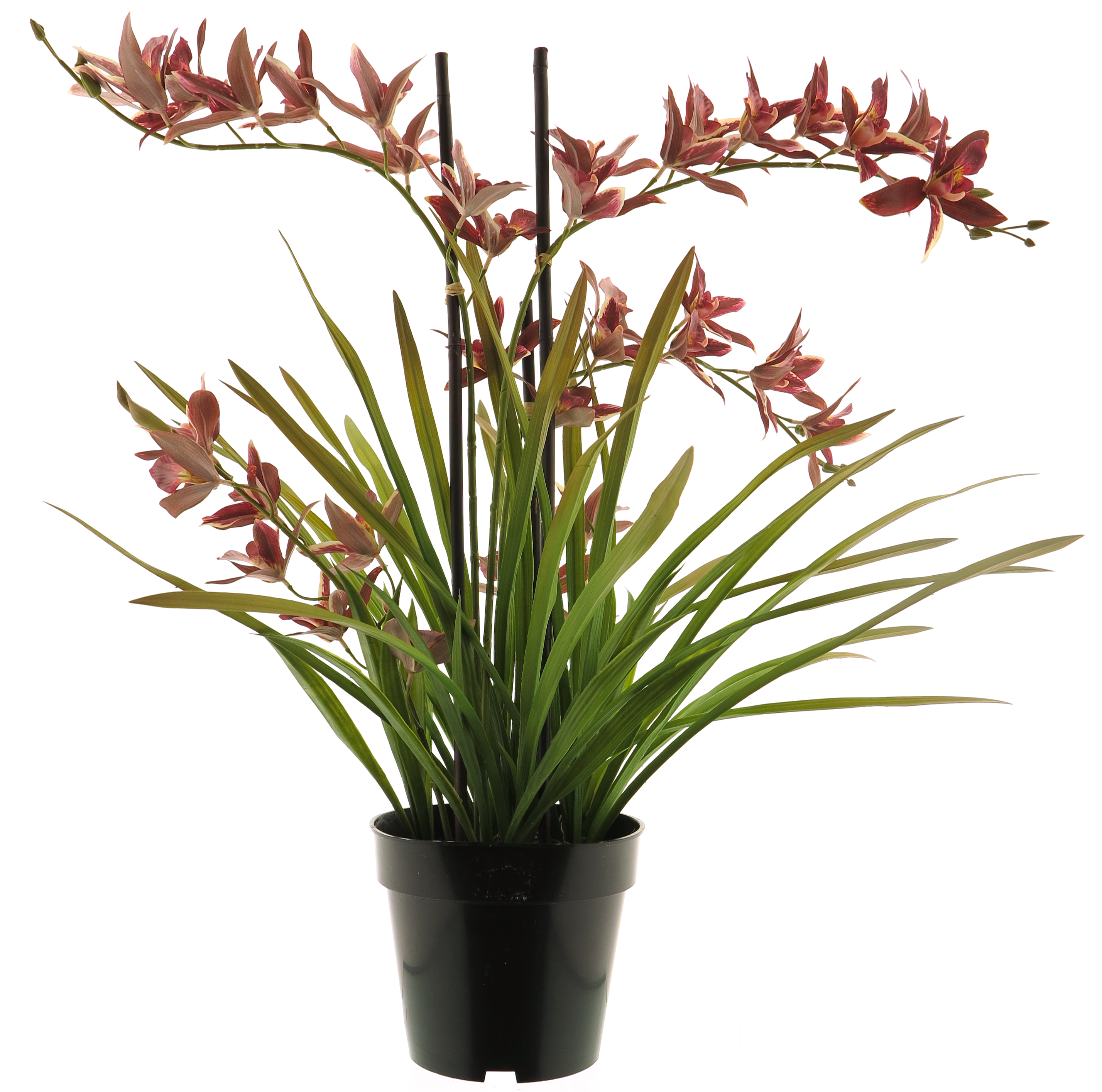 Meadow Orchidee kunstplant Rood 70cm