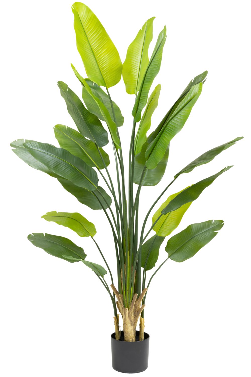 Strelitzia kunstplant 210cm hoge kwaliteit