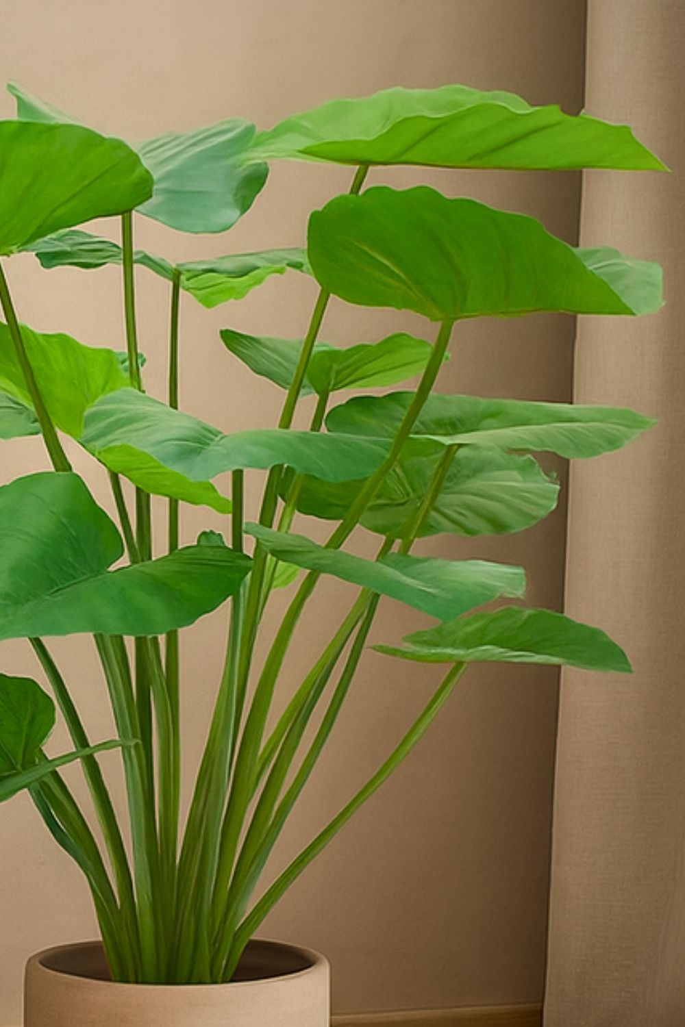 Alocasia Kunstplant 100cm