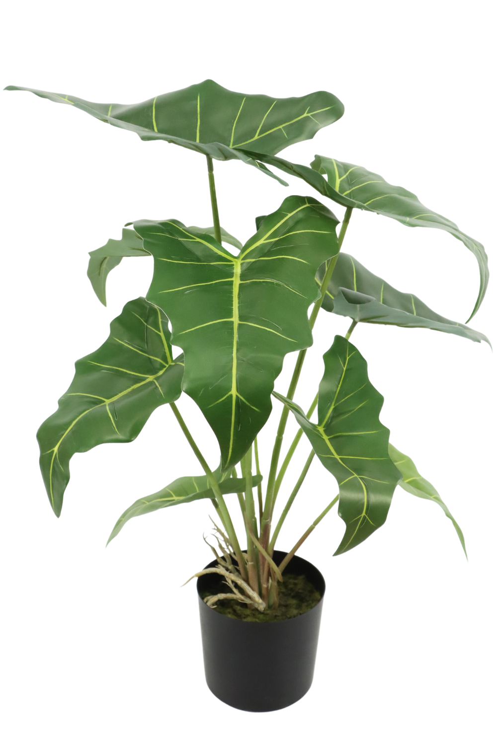 Alocasia kunstplant 60cm