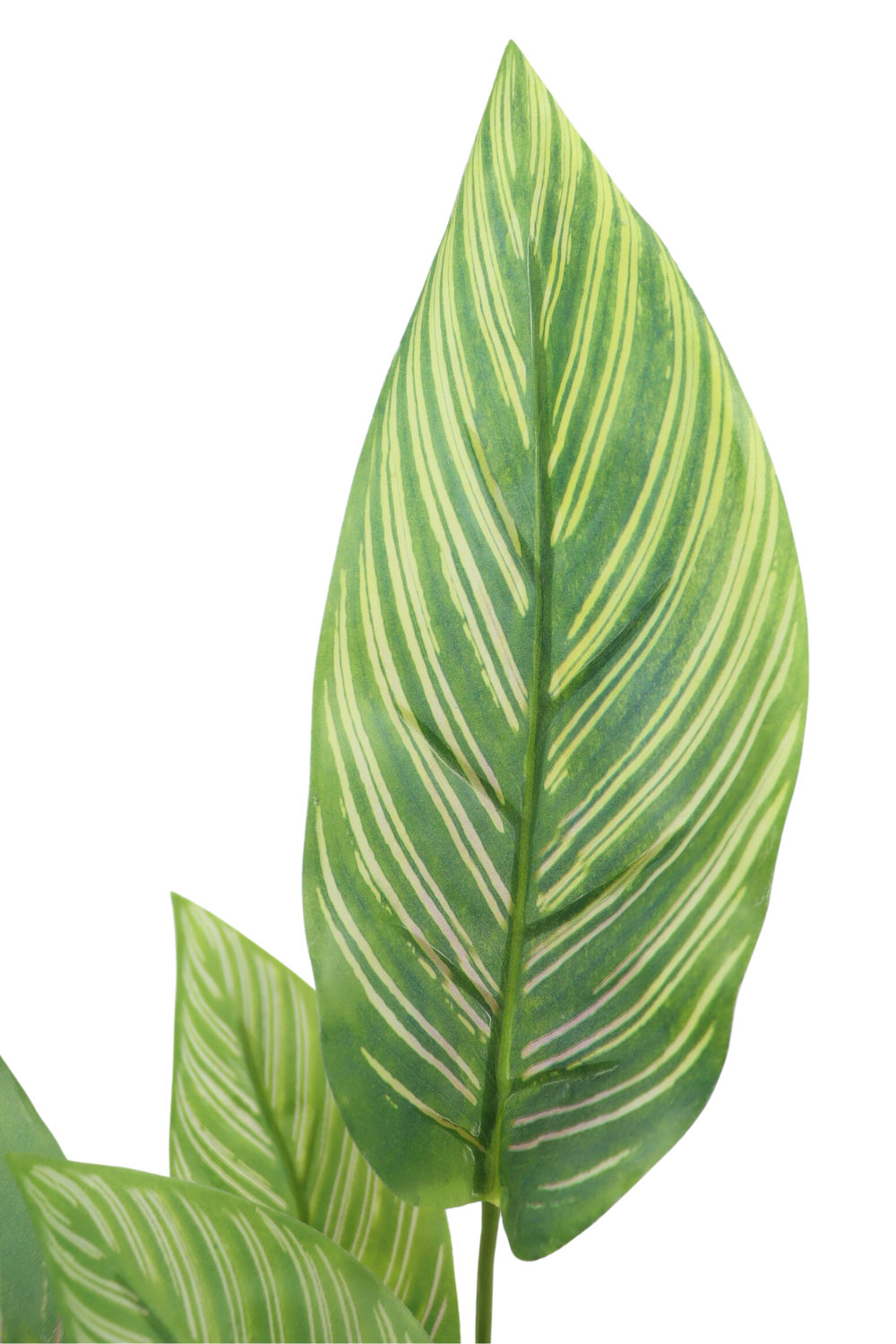 Blad maranta kunstplant 40cm