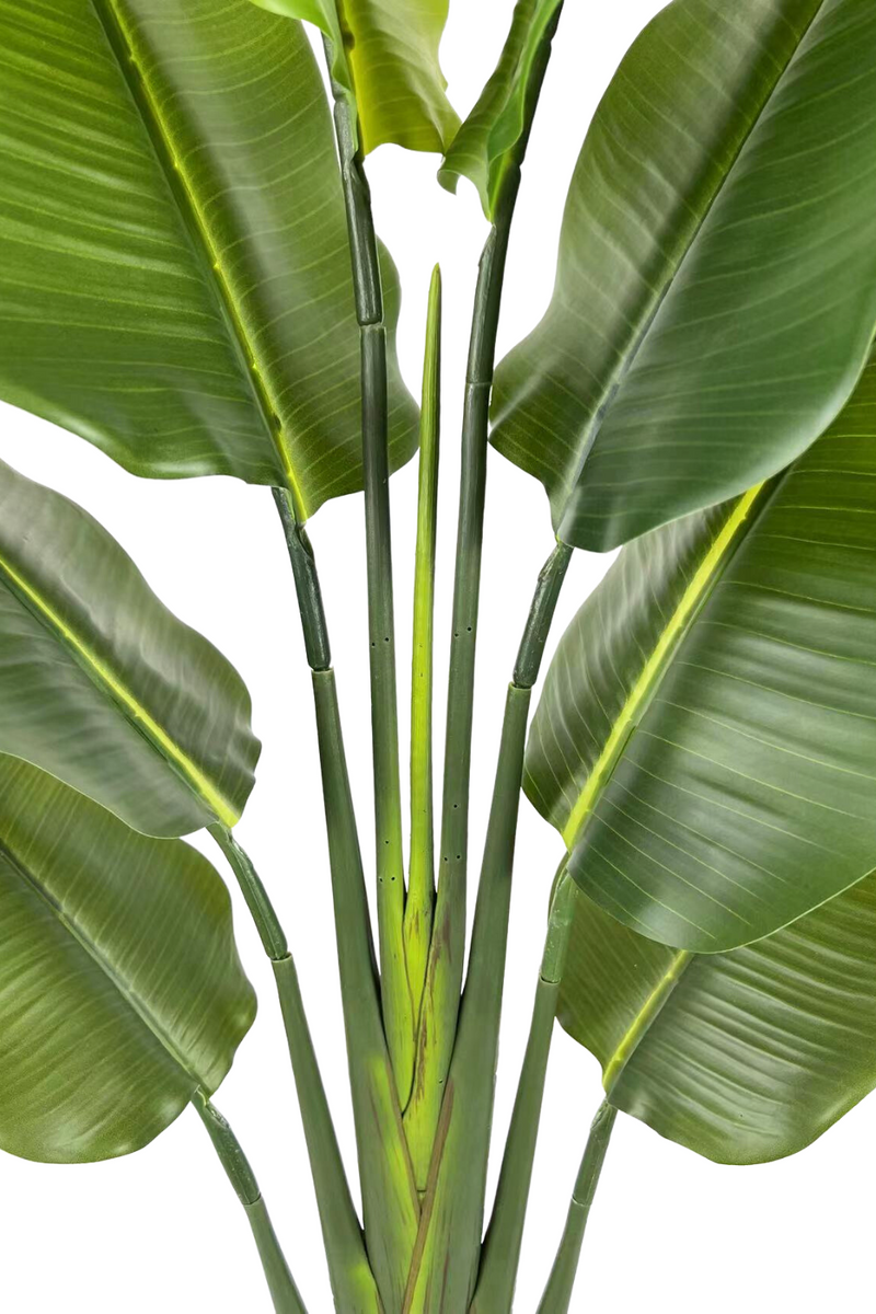 bladeren strelitzia kunstplant 140cm