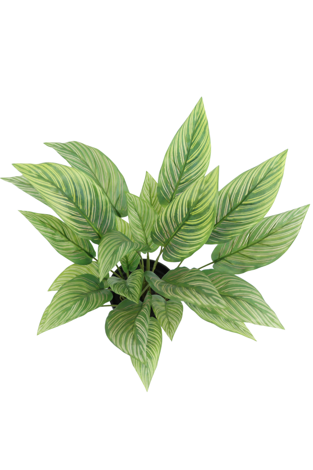 bovenaanzicht maranta kunstplant 40cm