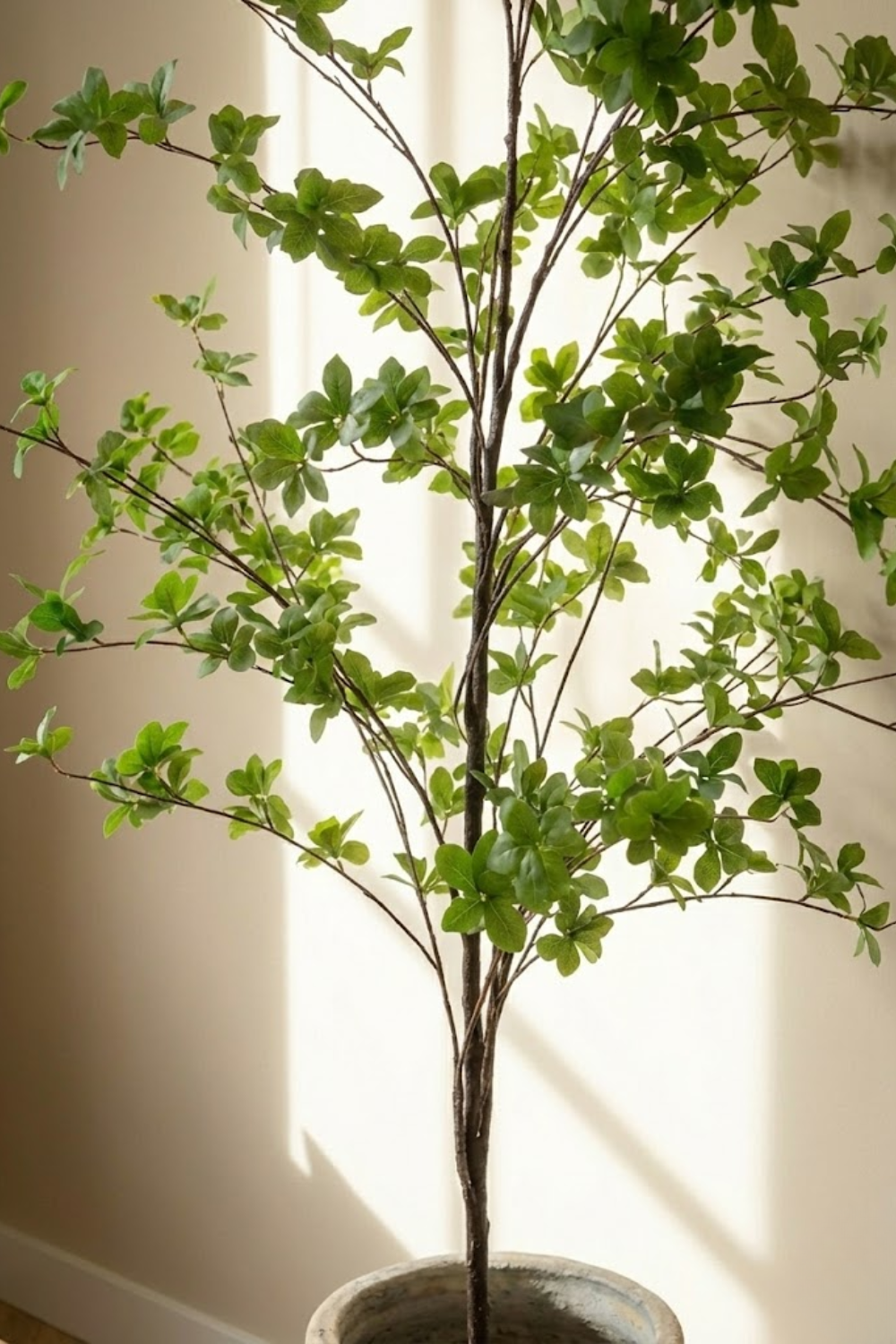 Bucida Kunstboom 170cm